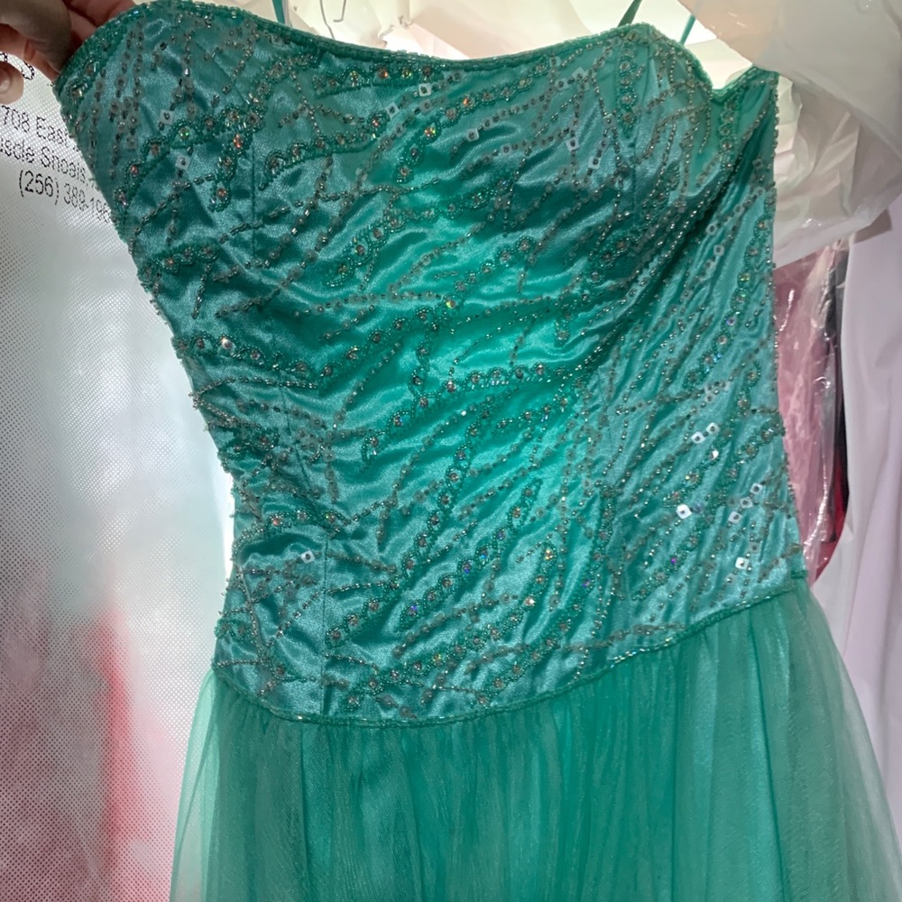 Pageant/ Prom Dress - Picture 3 of 5